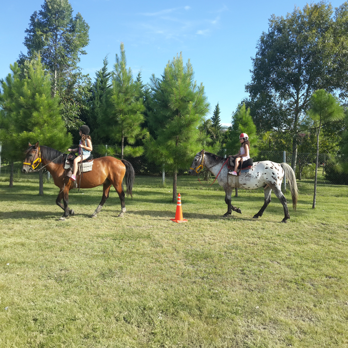 FERIADOS 2026ULTIMOS LUGARES!