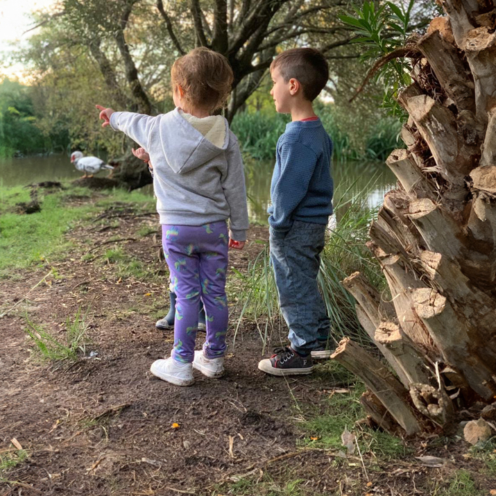 VERANO 2026NAVIDAD Y AÑO NUEVO